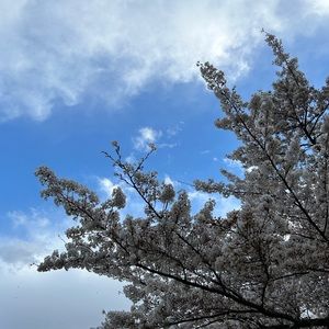 A little bit about me